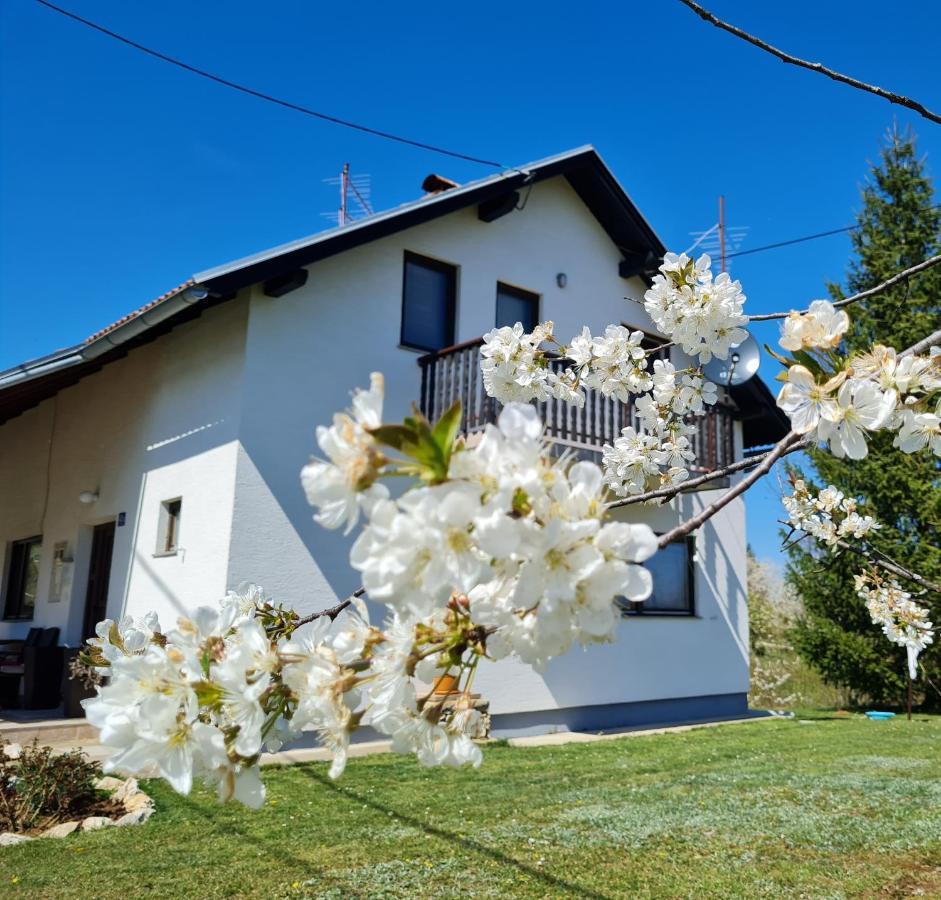 Apartment Charlie Seliste Dreznicko Exterior foto